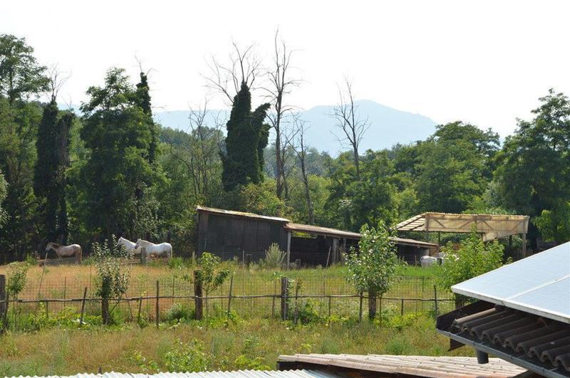 מלון ריבולי Cascina Scola מראה חיצוני תמונה