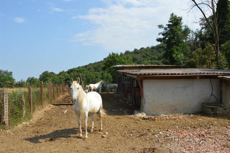 מלון ריבולי Cascina Scola מראה חיצוני תמונה